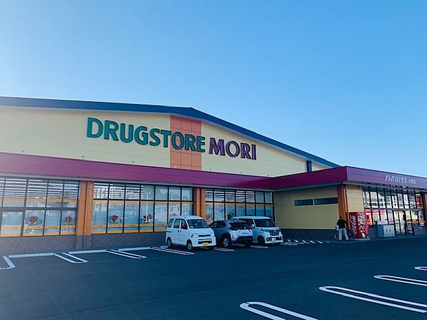 ドラッグストアモリ