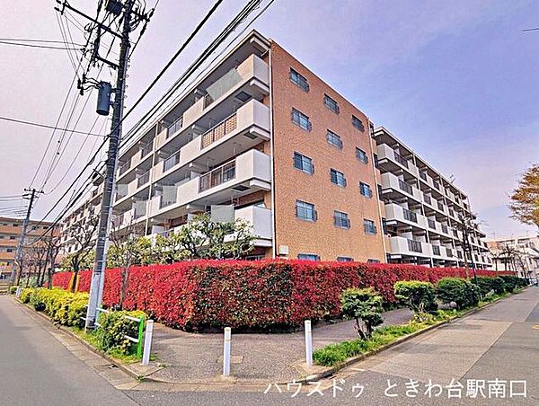 外観：313004667881