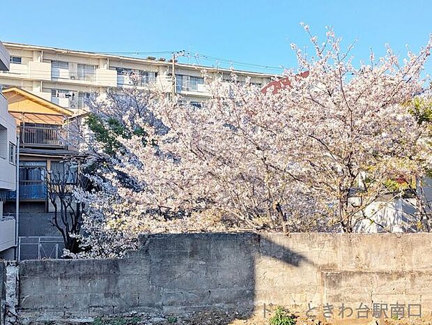 都会の中にありながら、季節の移ろいを楽しめる緑豊かな環境。家族の思い出を育む、穏やかで心地よい新生活をスタートさせるのに適した場所です。