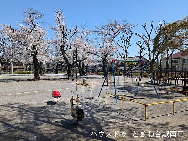 板橋区立常盤台公園 春には桜が楽しめる広々とした公園。遊具やベンチも整い、子ども連れの散歩やちょっとした気分転換にもぴったりです。 290m
