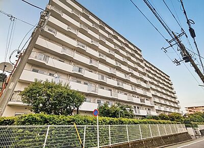 外観：総戸数172戸の堂々たる佇まいを誇る地上10階建ての大規模レジデンス。東武東上線「東武練馬」駅から徒歩6分の利便性と、豊かな緑に包まれた落ち着きある住環境を兼ね備えています。