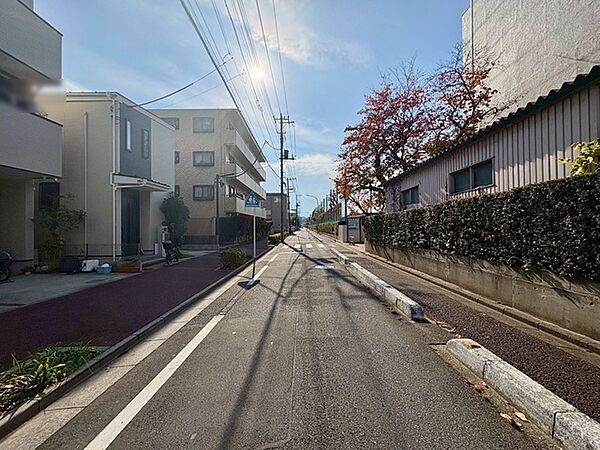 前面道路を含む現地写真
