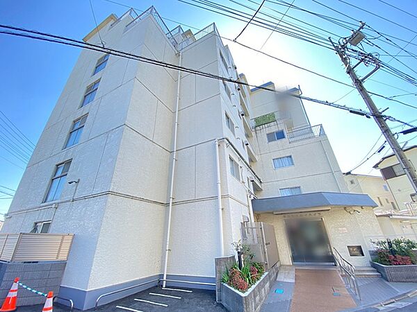 外観：311002419065