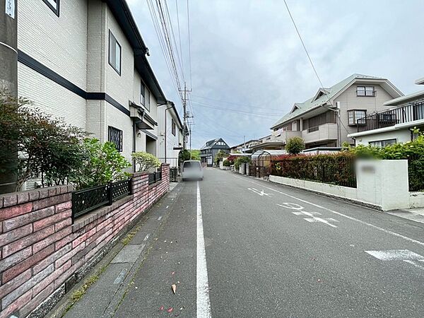 前面道路を含む現地写真