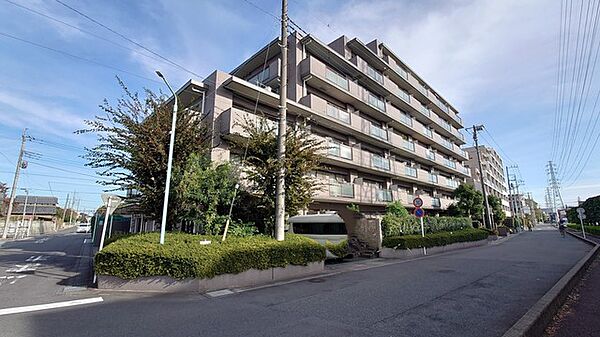 外観：311002248462