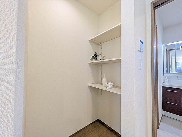 その他内観