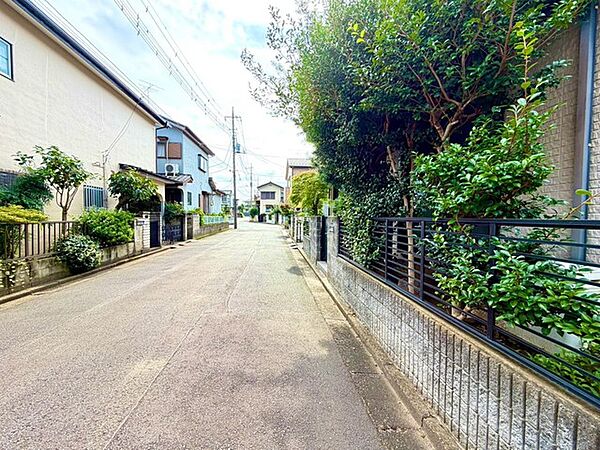 前面道路を含む現地写真
