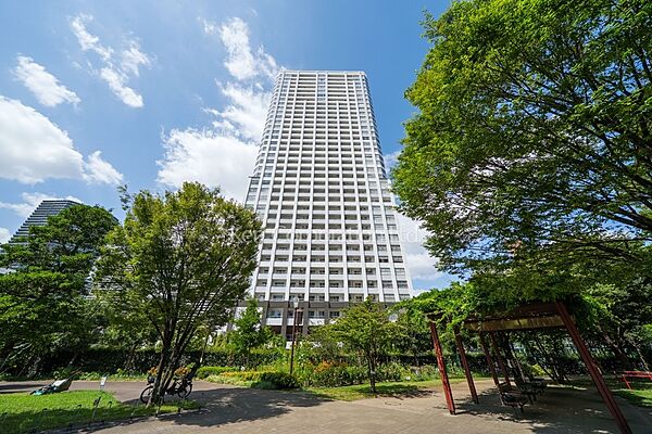 外観ひき