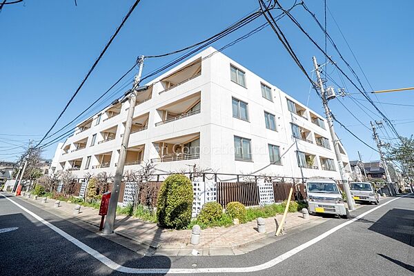 外観ひき