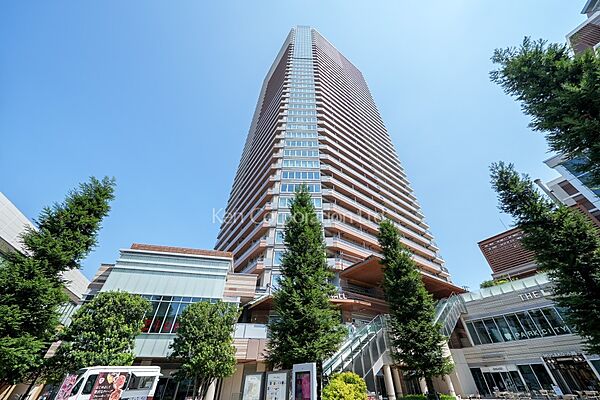 外観：313004805413