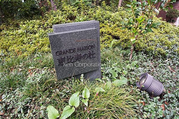外観その他