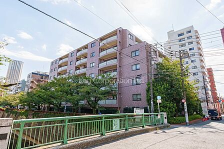 外観ひき