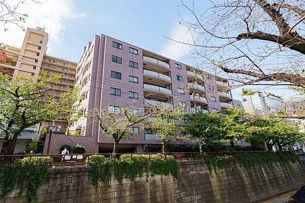 外観ひき