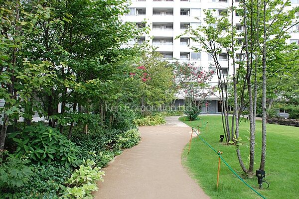 中庭・植栽