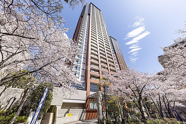 外観ひき