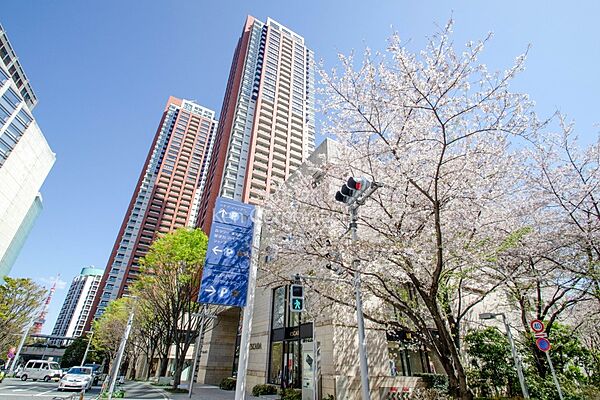 外観ひき