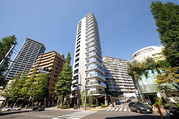 外観：313004869412