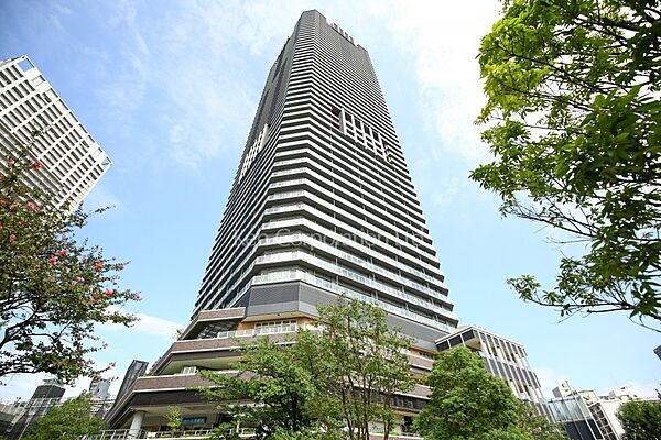 外観ひき