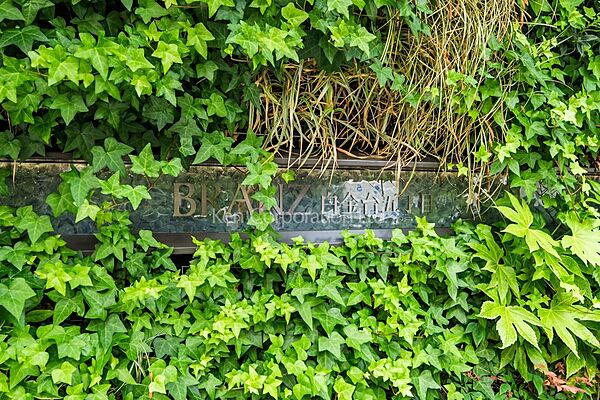 外観その他