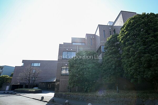 外観ひき