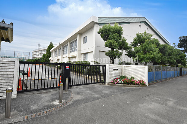 平塚市立金旭中学校まで約1355m