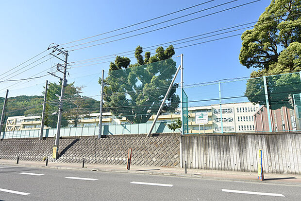 二宮町立二宮小学校まで約222m