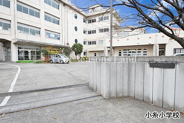 小糸小学校まで約168m