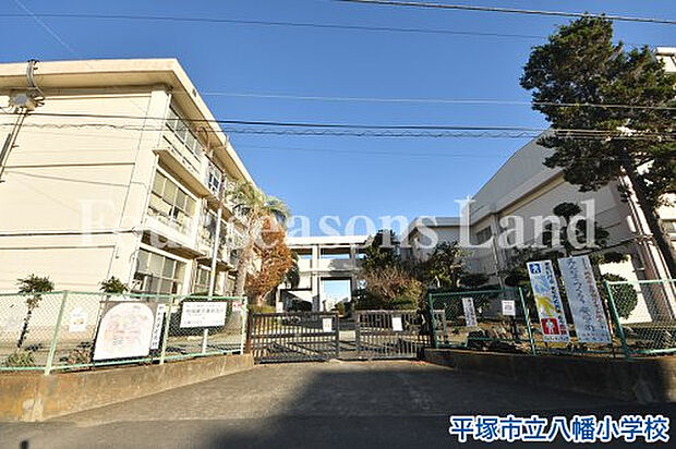 平塚市立八幡小学校まで約917m