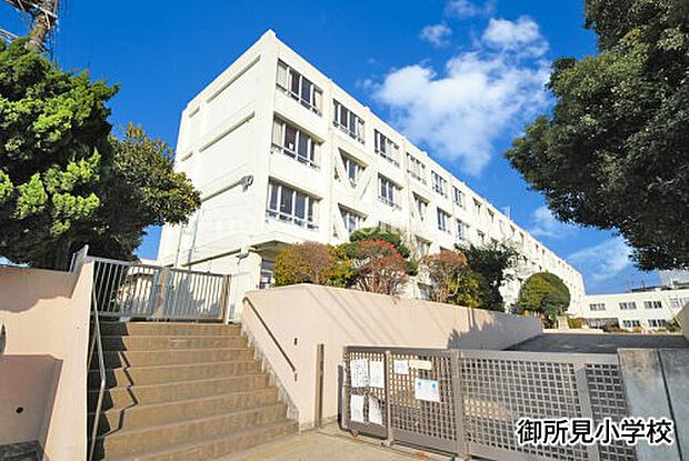 御所見小学校まで約325m