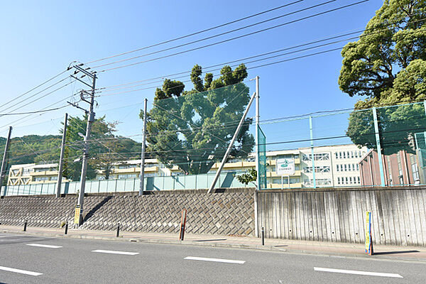 二宮町立二宮小学校まで約1110m