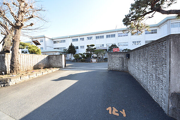 平塚市立金目小学校まで約552m