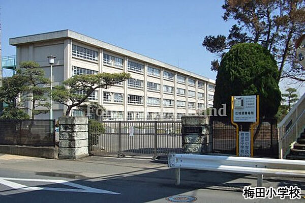 梅田小学校まで約555m
