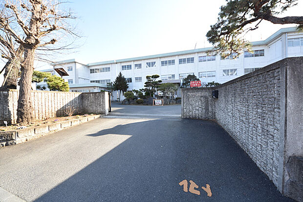 平塚市立金目小学校まで約284m