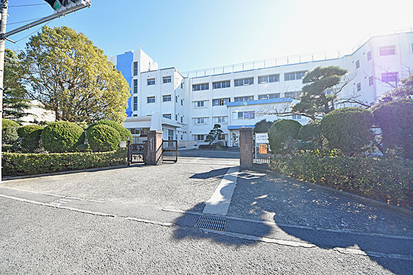 平塚市立太洋中学校まで約815m