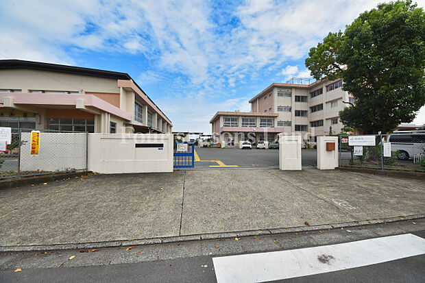 平塚市立みずほ小学校まで約894m