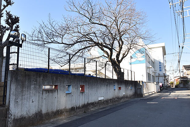 白鳥幼稚園まで約694m