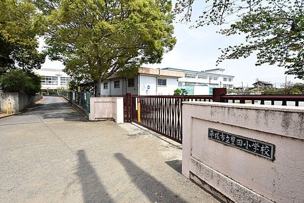 豊田小学校まで約184m