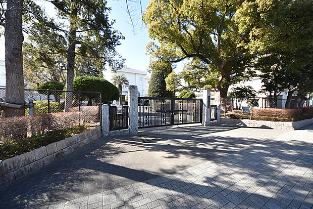 平塚市立旭小学校まで約1001m