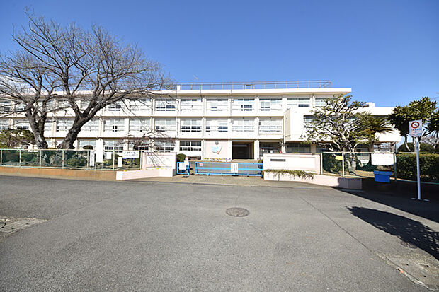 平塚市立城島小学校まで約208m
