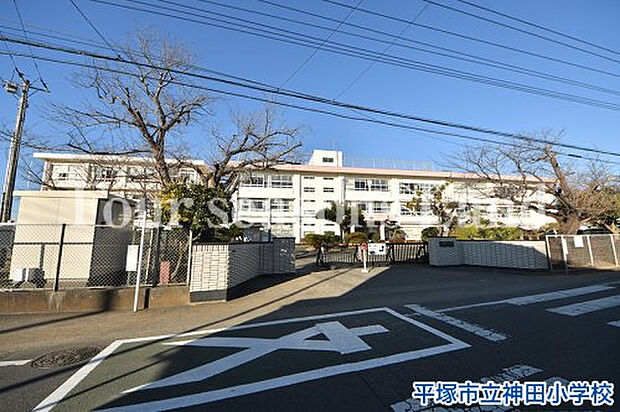 平塚市立神田小学校まで約428m