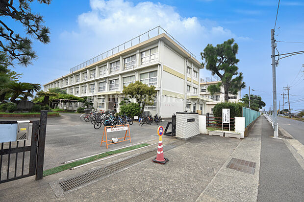 平塚市立金田小学校まで約796m