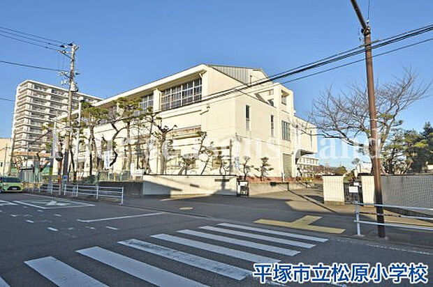 平塚市立松原小学校まで約492m
