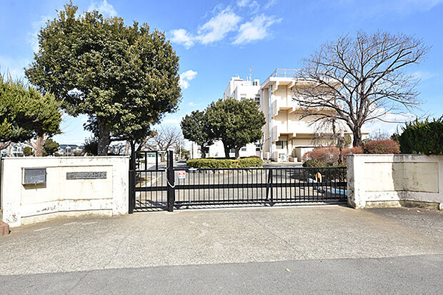 平塚市立南原小学校まで約250m