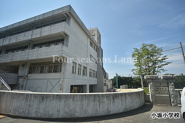 鎌倉市立小坂小学校まで約360m