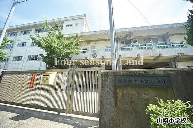 鎌倉市立山崎小学校まで約564m