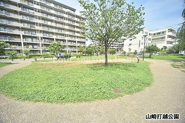 山崎打越公園まで約145m