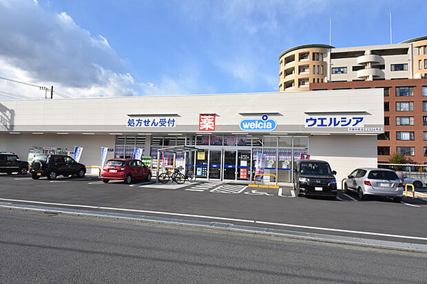 ウエルシア 平塚中原店まで約547m