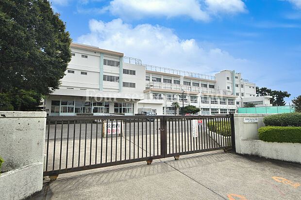 平塚市立松が丘小学校まで約461m