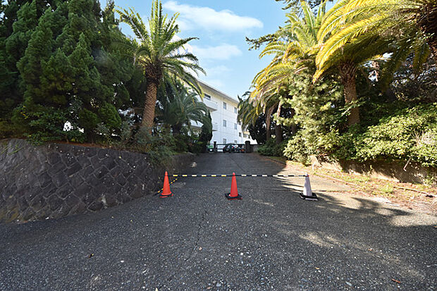 大磯町立大磯中学校まで約3044m