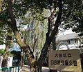 臼田坂児童公園...